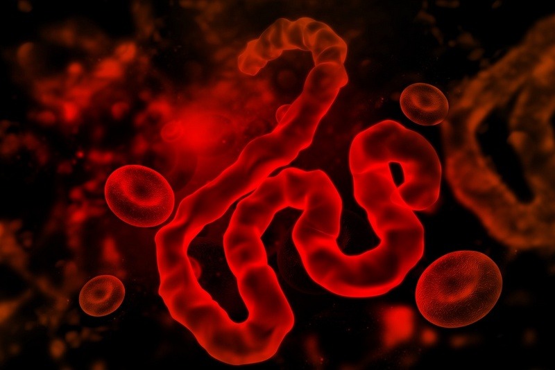 युगाण्डामा पहिलोपटक इबोला