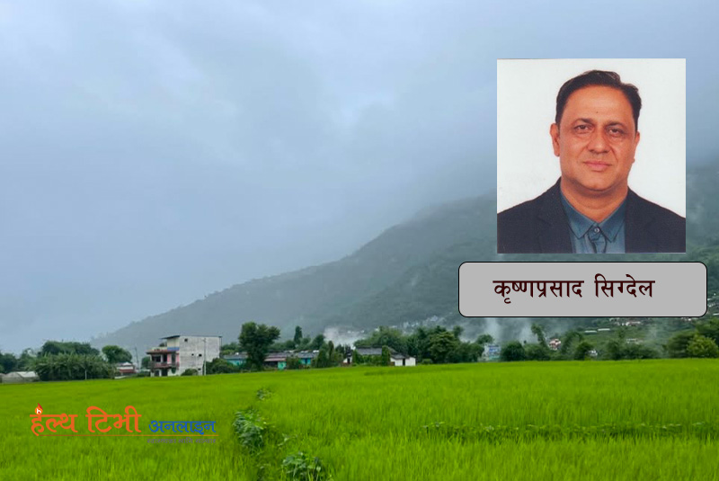 जडीबुटी : नेपालको स्वास्थ्य र समृद्धिको हरित पुँजी